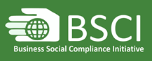 Business Social Compliance Initiative Audit